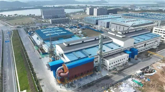 1768792025481231.jpg 1.jpg