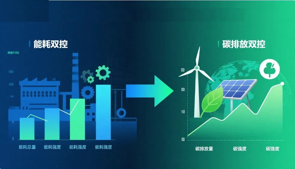 1770630248151823.jpg 2.jpg