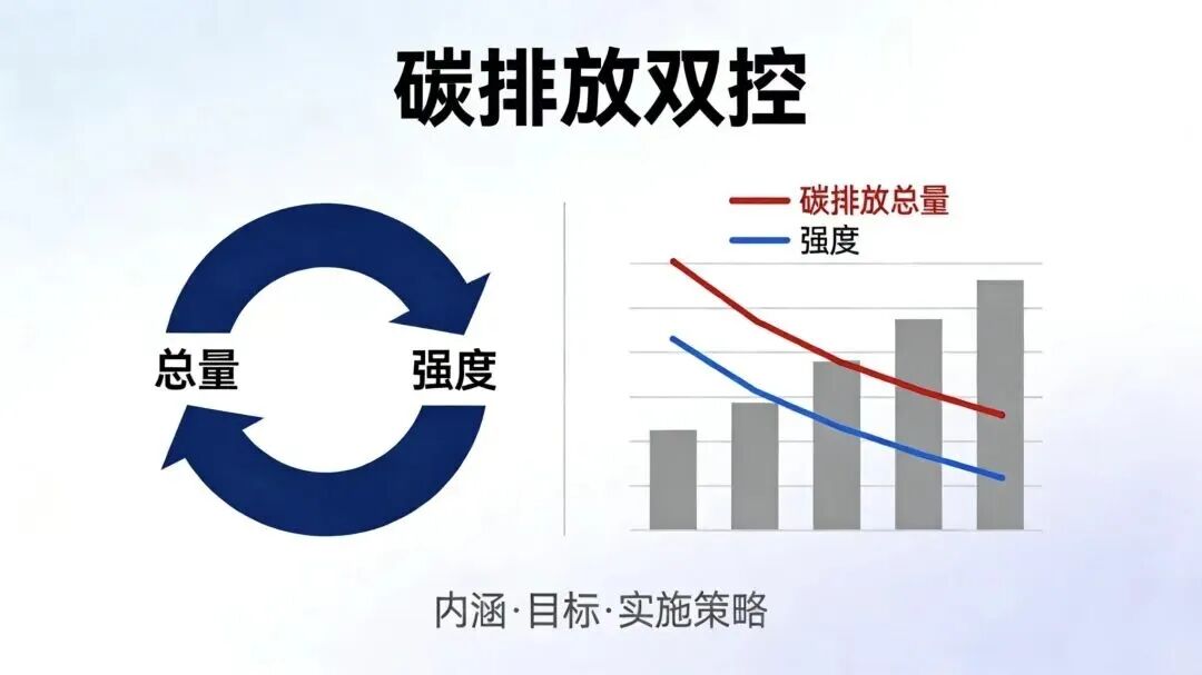 1770630260963446.jpg 3.jpg