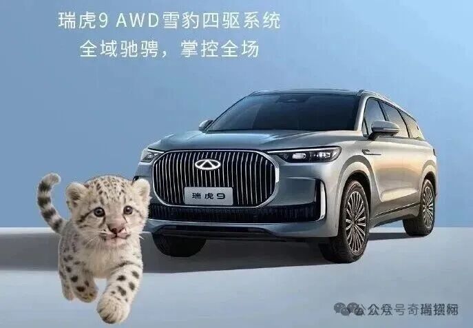 1776672314387908.jpg 1.jpg