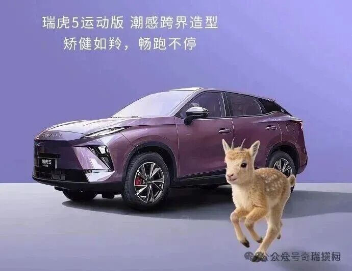 1776672329632036.jpg 2.jpg