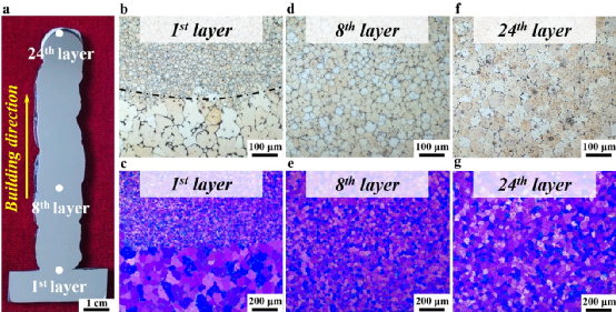 1673435373112821.png 13.png