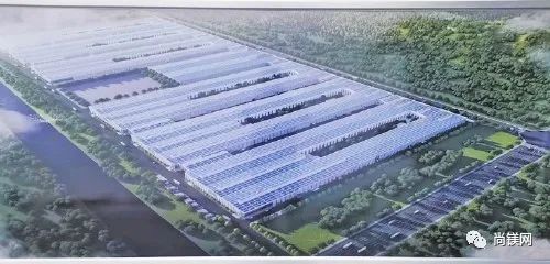 1675675811418660.jpg 3.jpg