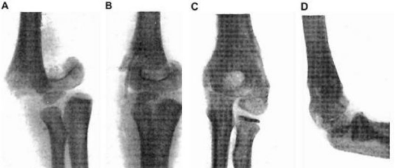 1677487916302173.png 5.png