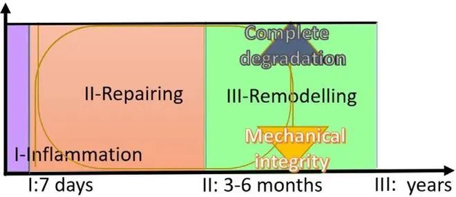 1678176798551513.jpg 6.jpg