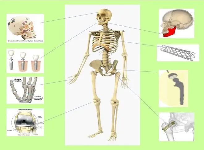 1678176809549862.jpg 7.jpg