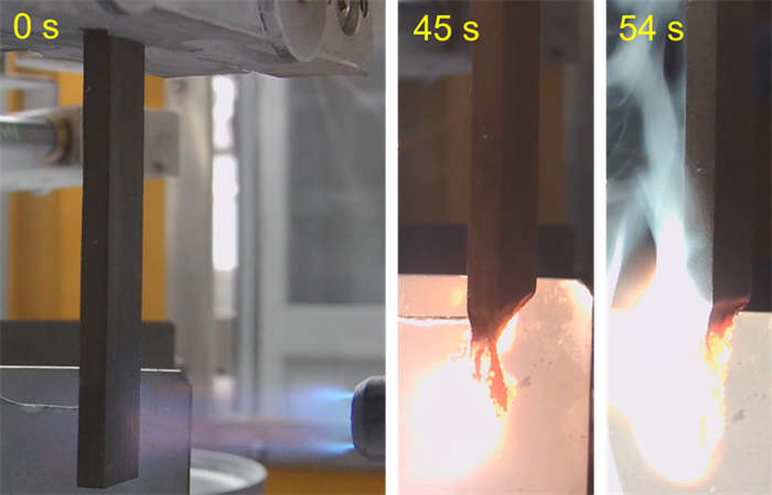 1685959181160743.jpg 7.jpg