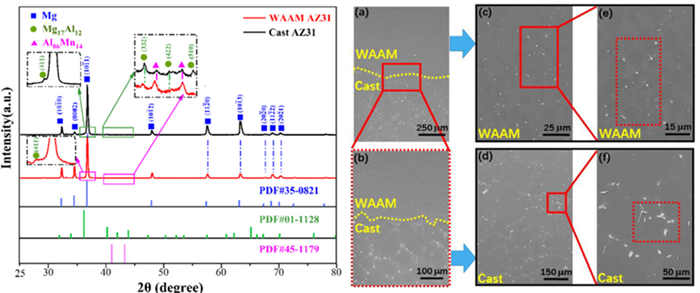 1692615659372078.jpg 1.jpg