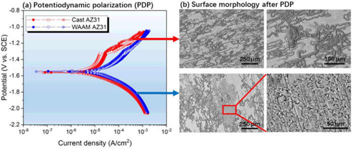 1692615698555596.jpg 3.jpg