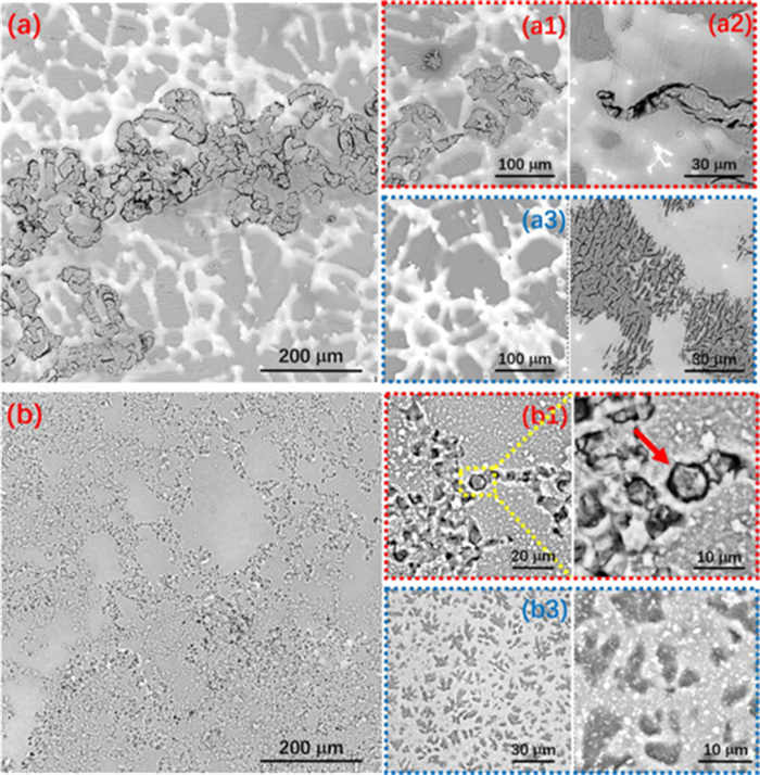 1692615723426495.jpg 5.jpg