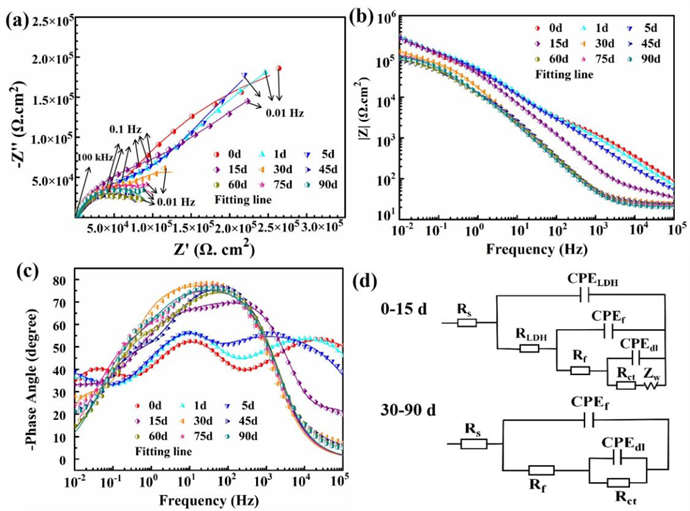 1705912907910797.jpg 2.jpg