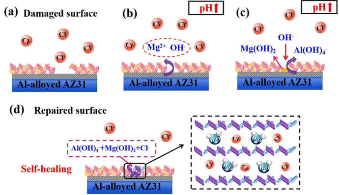 1705912952666315.jpg 5.jpg