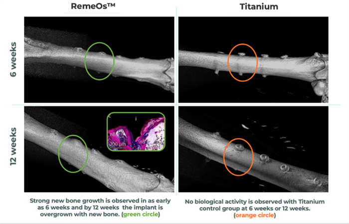 1740379501997422.jpg 3.jpg