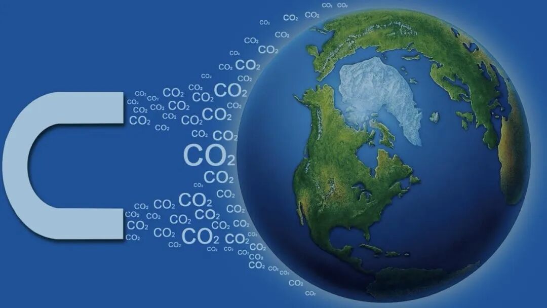 1762157542516893.jpg 1.jpg