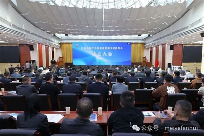 1763976419269018.jpg 1.jpg