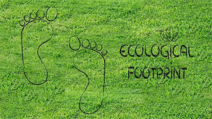 1767513494642771.jpg 6.jpg