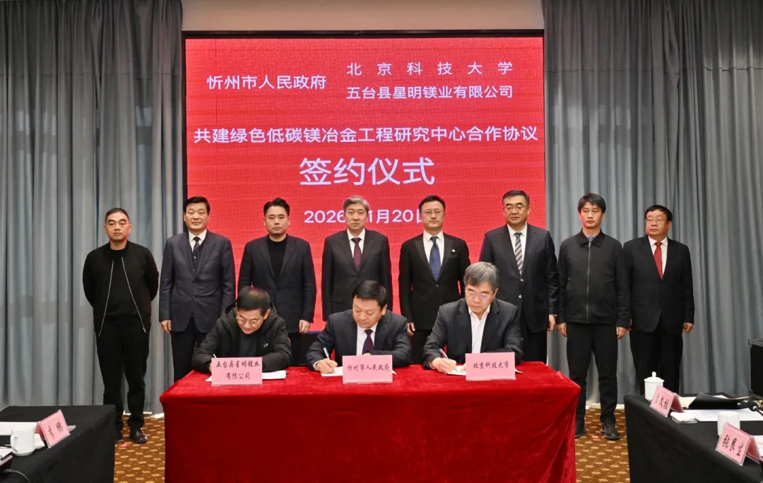 1769410795539974.webp 1.webp