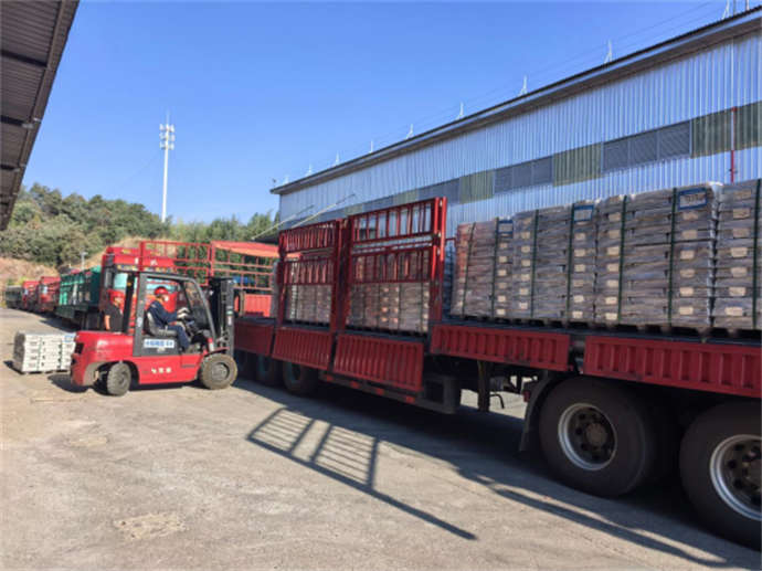 1775549213983572.jpg 2.jpg