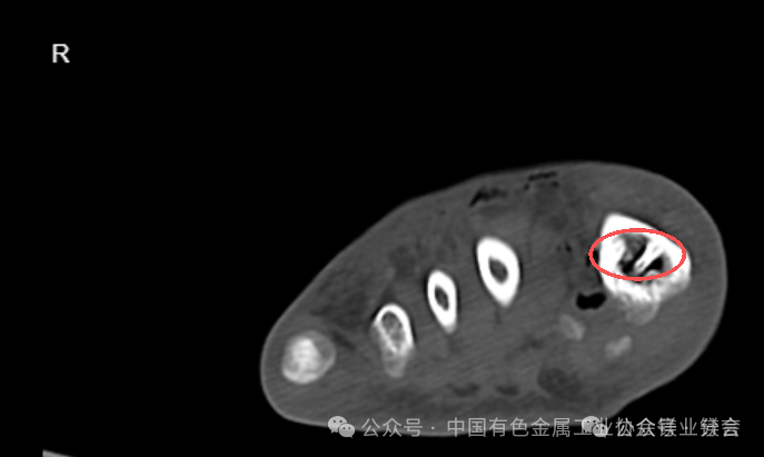 1776072102194149.png 2.png